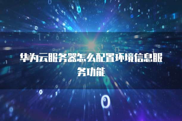 华为云服务器怎么配置环境信息服务功能