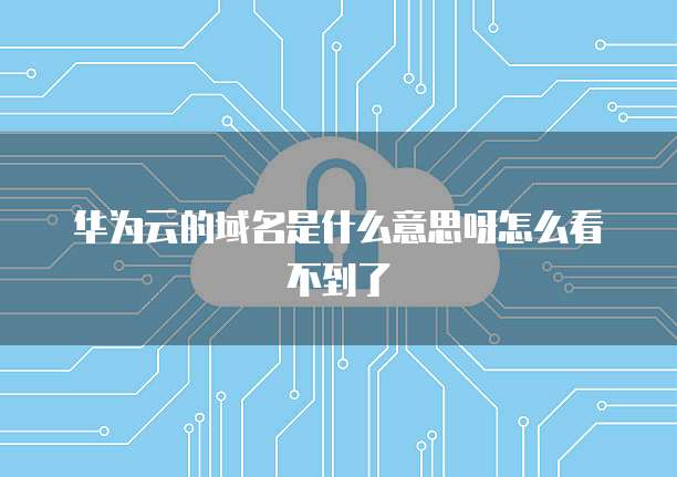 华为云的域名是什么意思呀怎么看不到了