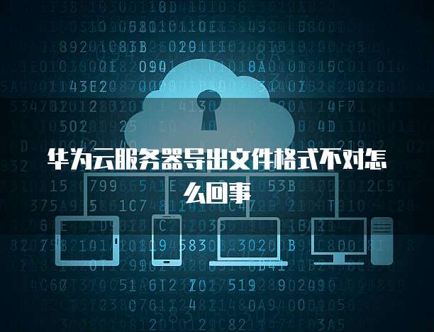 华为云服务器导出文件格式不对怎么回事