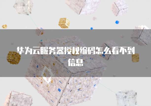 华为云服务器授权编码怎么看不到信息