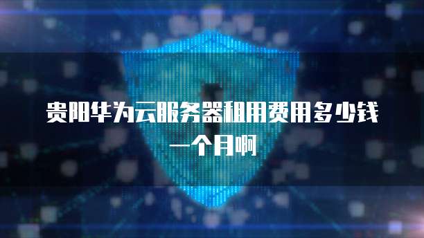 贵阳华为云服务器租用费用多少钱一个月啊
