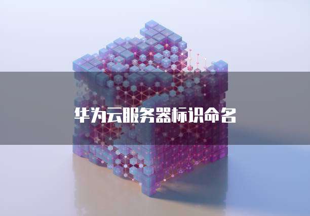 华为云服务器标识命名