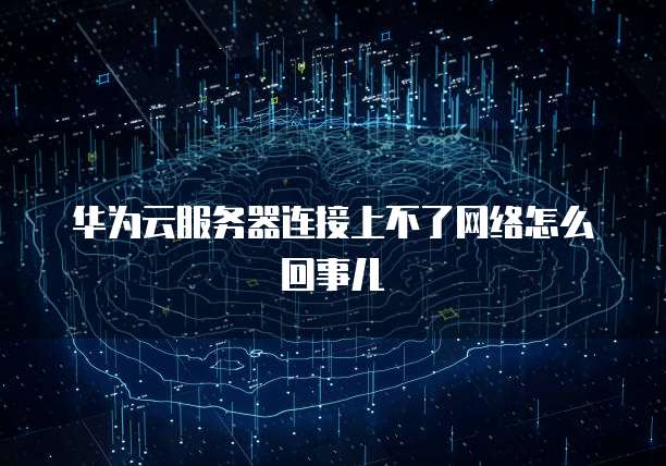华为云服务器连接上不了网络怎么回事儿