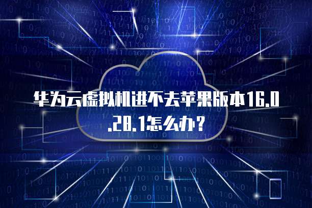 华为云虚拟机进不去苹果版本16.0.28.1怎么办？