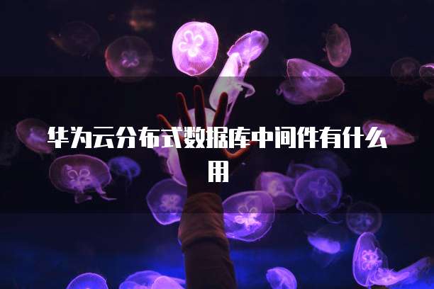 华为云分布式数据库中间件有什么用