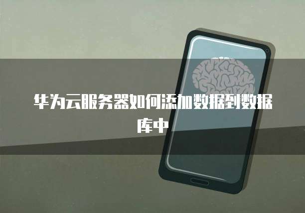 华为云服务器如何添加数据到数据库中