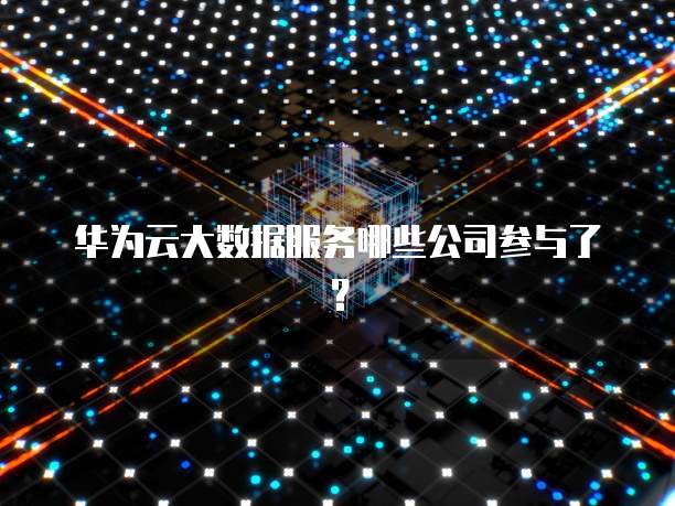 华为云大数据服务哪些公司参与了？