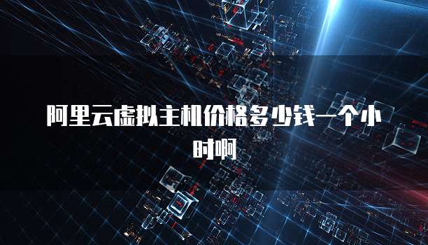 阿里云虚拟主机价格多少钱一个小时啊