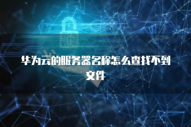 华为云的服务器名称怎么查找不到文件