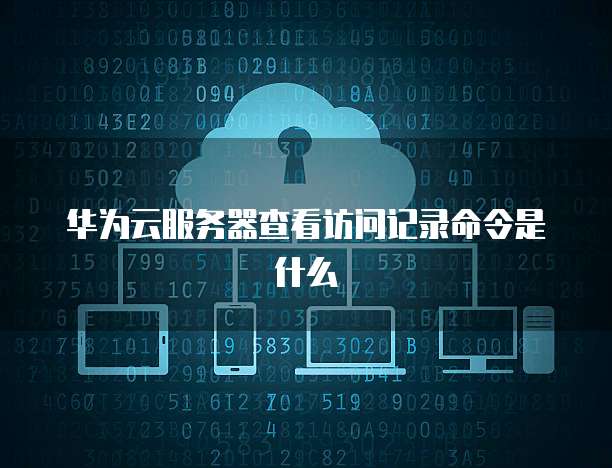 华为云服务器查看访问记录命令是什么