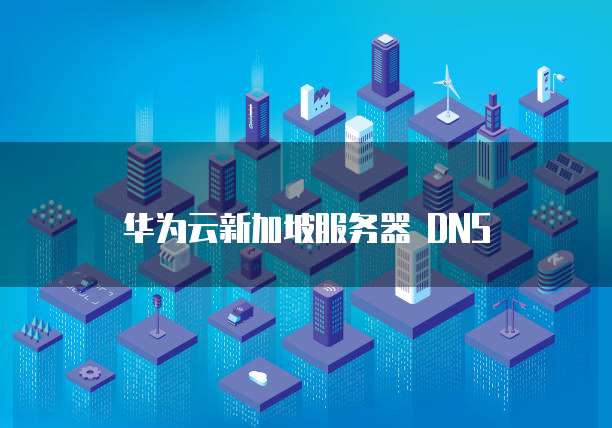 华为云新加坡服务器 DNS