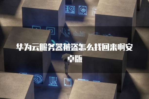 华为云服务器被盗怎么找回来啊安卓版