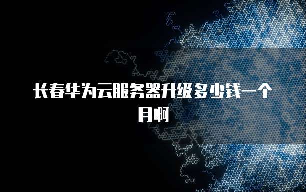 长春华为云服务器升级多少钱一个月啊