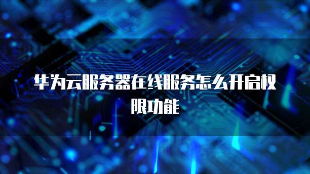 华为云服务器在线服务怎么开启权限功能