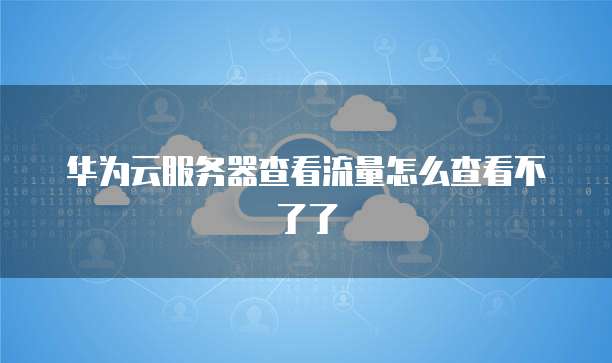华为云服务器查看流量怎么查看不了了