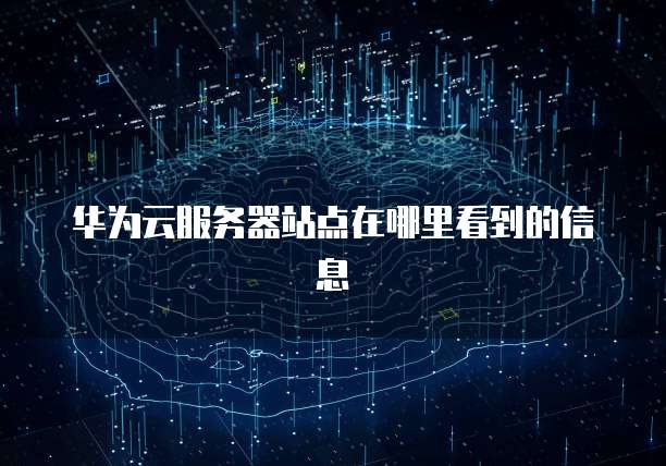华为云服务器站点在哪里看到的信息