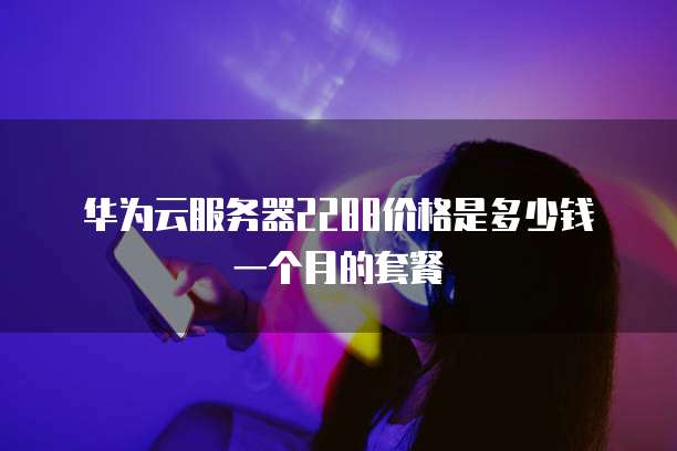华为云服务器2288价格是多少钱一个月的套餐