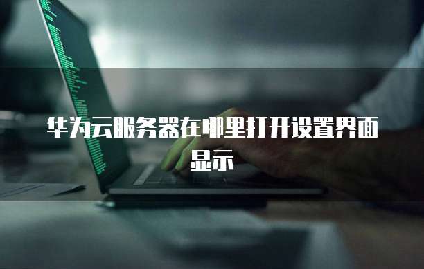 华为云服务器在哪里打开设置界面显示