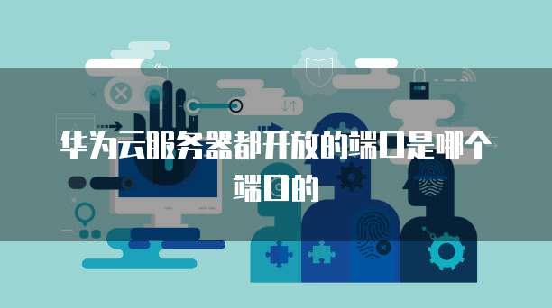 华为云服务器都开放的端口是哪个端口的