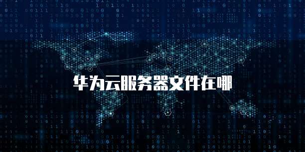华为云服务器文件在哪