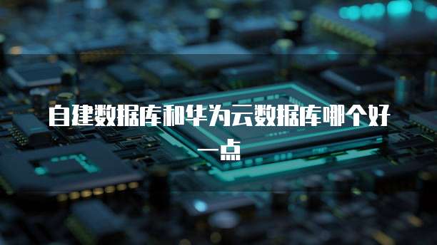 自建数据库和华为云数据库哪个好一点