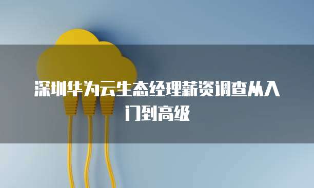 深圳华为云生态经理薪资调查从入门到高级
