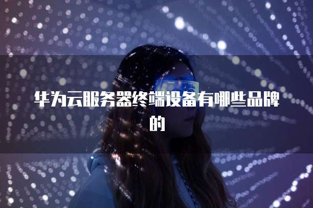 华为云服务器终端设备有哪些品牌的