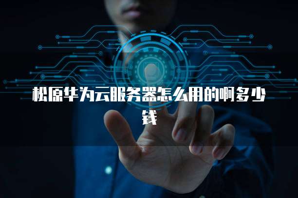 松原华为云服务器怎么用的啊多少钱