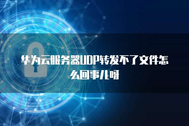 华为云服务器UDP转发不了文件怎么回事儿呀