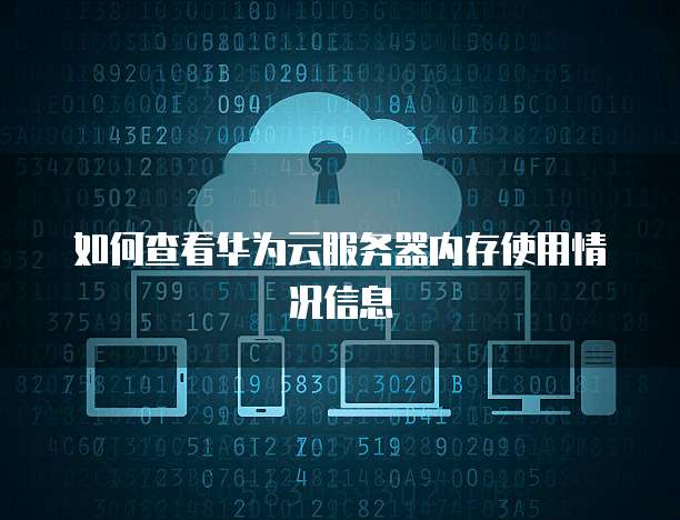 如何查看华为云服务器内存使用情况信息