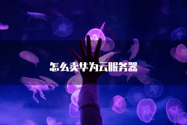 怎么卖华为云服务器
