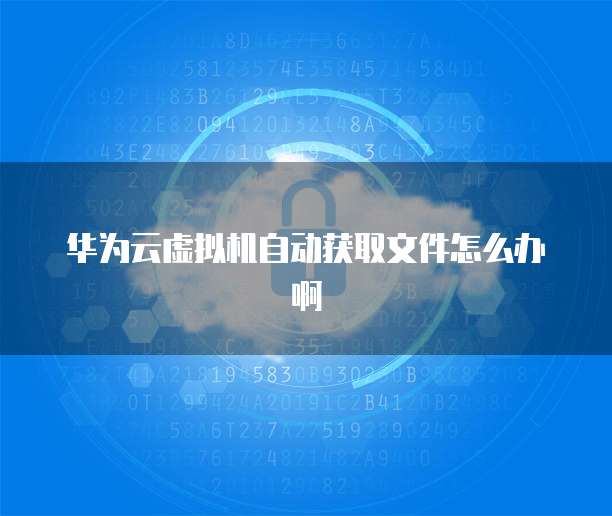 华为云虚拟机自动获取文件怎么办啊