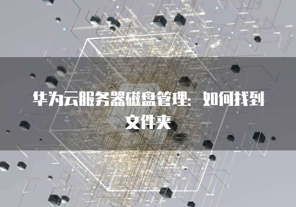 华为云服务器磁盘管理：如何找到文件夹