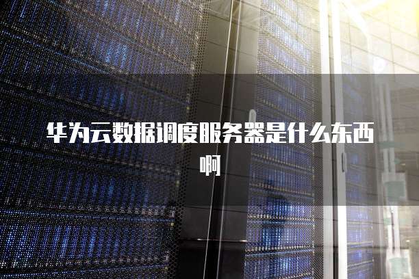 华为云数据调度服务器是什么东西啊