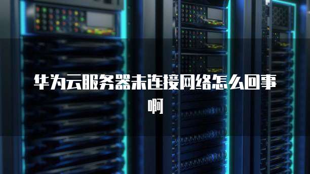 华为云服务器未连接网络怎么回事啊