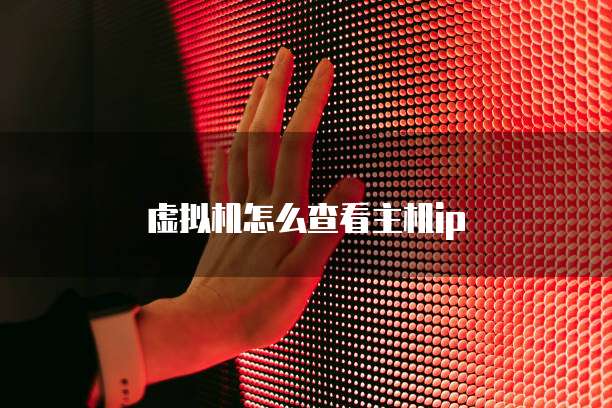 虚拟机怎么查看主机ip