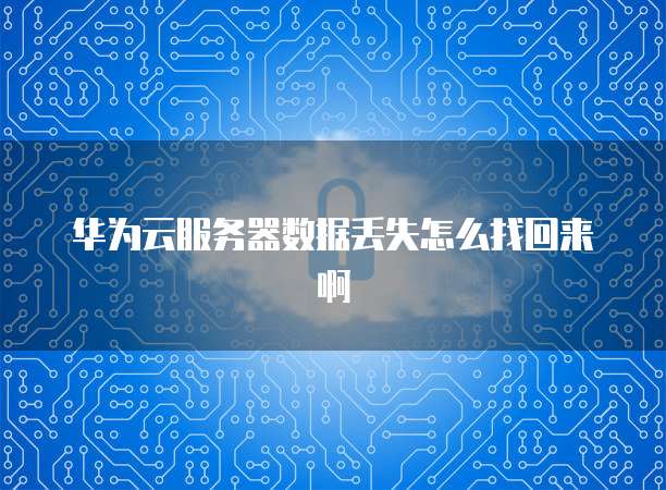 华为云服务器数据丢失怎么找回来啊
