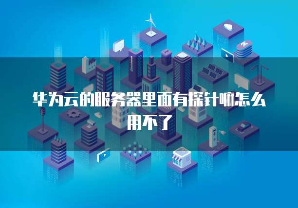 华为云的服务器里面有探针嘛怎么用不了
