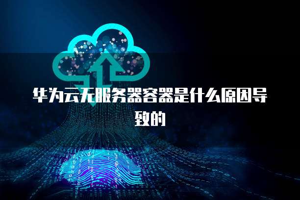 华为云无服务器容器是什么原因导致的