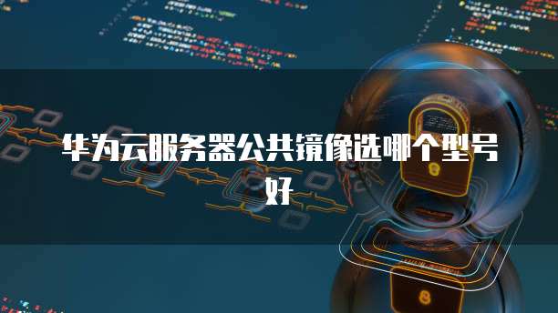华为云服务器公共镜像选哪个型号好