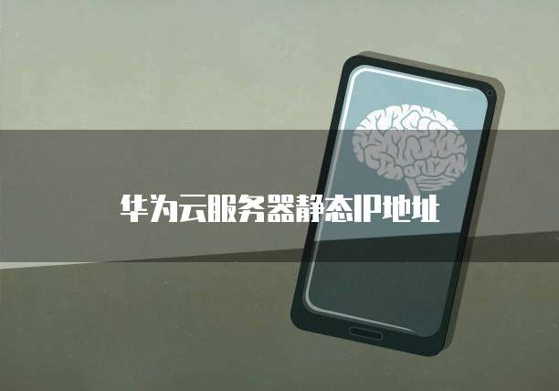 华为云服务器静态IP地址