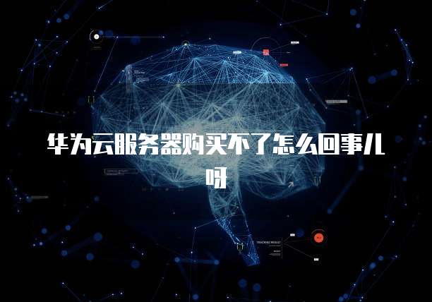 华为云服务器购买不了怎么回事儿呀