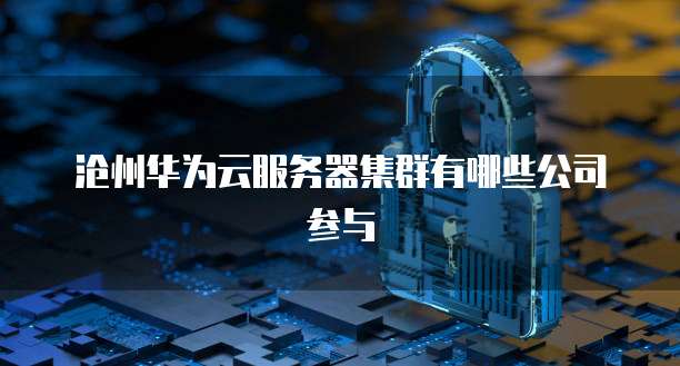 沧州华为云服务器集群有哪些公司参与