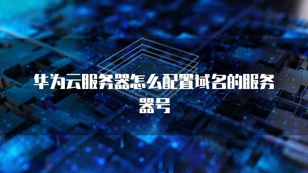 华为云服务器怎么配置域名的服务器号