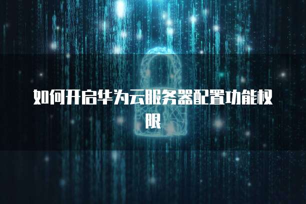 如何开启华为云服务器配置功能权限