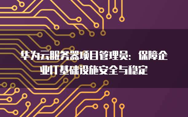 华为云服务器项目管理员：保障企业IT基础设施安全与稳定