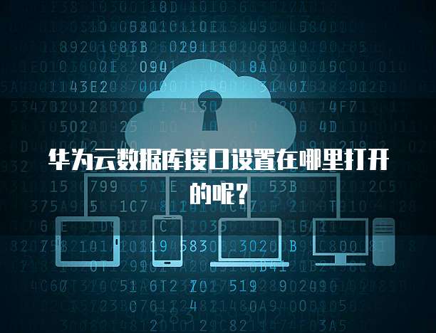华为云数据库接口设置在哪里打开的呢？
