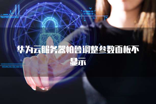 华为云服务器帕鲁调整参数面板不显示