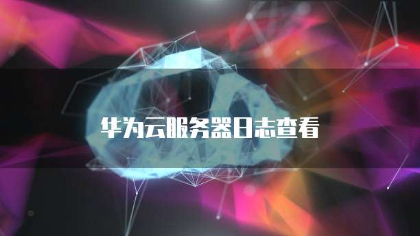 华为云服务器日志查看