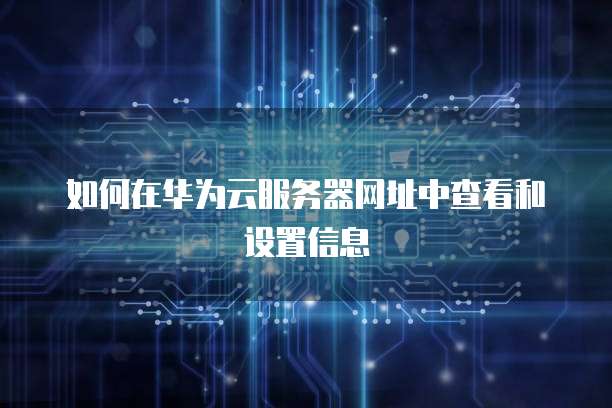 如何在华为云服务器网址中查看和设置信息